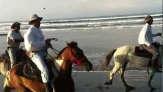 The Riding Adventure  Manuel Antonio amp Jaco Horseback Tours [upl. by Ignaz]