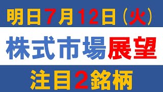 明日7月12日（火）株式市場展望 自民党圧勝で日本株は底堅い？注目２銘柄も紹介 [upl. by Htebasil]