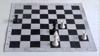 Chess Tutorial 11 Enfilade [upl. by Ecertap593]