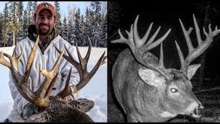 Saskatchewan Whitetail Hunt [upl. by Nyrad]