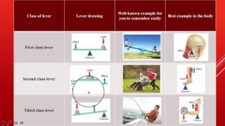 GCSE PE – Lesson 20  GCSE PE Flip learning video  Movement Analysis  Levers [upl. by Isia]