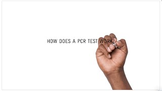 How does a COVID19 PCR test work [upl. by Iuq791]