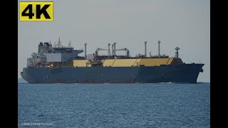 PALU LNG  Shipspotting Germany 🇩🇪 IMO 9636735  River Elbe near City Otterndorf  4K VIDEO [upl. by Pacificia]