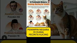 Pemimpin negara pecinta kucing cat catlover [upl. by Enilra]