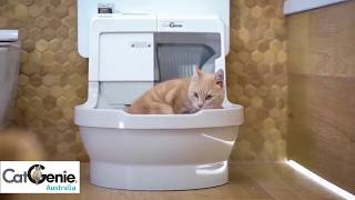 CatGenie SelfWashing Cat Litter Box [upl. by Cheria30]