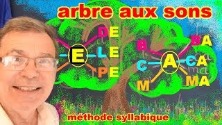 Arbre aux sons pour apprendre à lire les syllabes en maternelle gs cp [upl. by Steffen800]