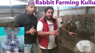 Angora RabbitFarming in Kullu Manali [upl. by Nomael]