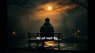 සුමුදු වළාවක  Sumudu walawaka  Cover song  Chalaka Premakeerthi [upl. by Orenid991]