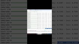 Convolutional Neural Network in TensorFlow DeepLearning artificialintelligence tensorflow python [upl. by Vasiliki745]