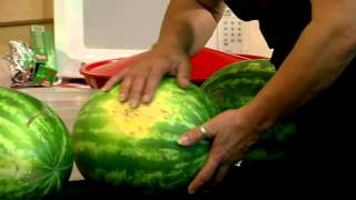 How To Pick the Perfect Watermelon [upl. by Bria]