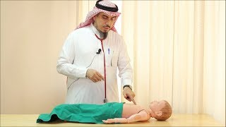 Pediatric Cardiovascular Assessment Physical Examination  Dr Zaher Faisal Zaher [upl. by Emma]