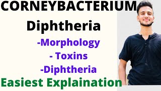 CORNEYBACTERIUM DIPHTHERIA MICROBIOLOGY  corneybacterium microbiology lecture [upl. by Pamelina337]