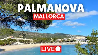 🔴 LIVE in Palmanova Majorca Mallorca  12 November 2023 [upl. by Neenahs573]