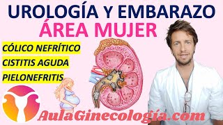 UROLOGÍA Y EMBARAZO CÓLICO NEFRÍTICO CISTITIS AGUDA PIELONEFRITIS  Ginecología y Obstetricia [upl. by Marabelle977]