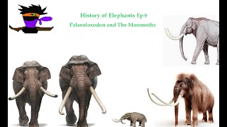 The History of Elephants Ep9 Palaeoloxodon and The Mammoths [upl. by Millicent]