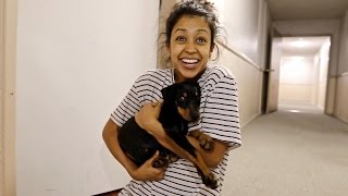 SURPRISING GIRLFRIEND WITH A PUPPY [upl. by Fondea]