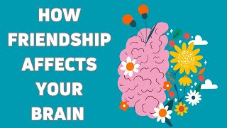 How Friendship Affects Your Brain DailyMindShakes [upl. by Bohlin]