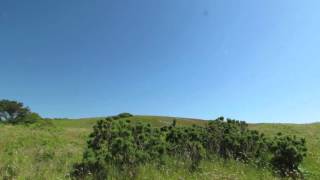 Walk from Bosheston Lily Ponds to Broad Haven Beach near Pembroke in Pembrokeshire South Wales [upl. by Swane25]