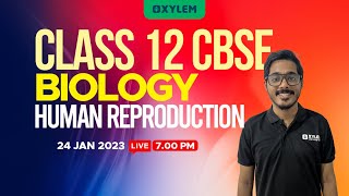 CLASS 12 CBSE Biology  Human Reproduction  Xylem CBSE 11 amp 12 [upl. by Eesak]