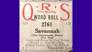 Pete Wendling playes The Georgia Blues Savannah Player Piano Roll [upl. by Ettener]