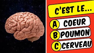 ConnaisTu Vraiment le Corps Humain  Quiz de Culture Générale sur LANATOMIE [upl. by Barret377]