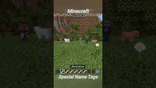 Minecraft Special Name Tags minecraft gaming thingsyoudontknowaboutminecraft [upl. by Cirdor565]