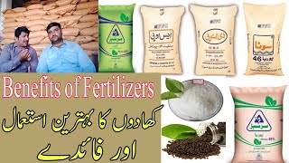 benefits of urea fertilizerbenefits of fertilizersAsad Abbas Chishti [upl. by Eldridge]