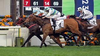 Hong Kong Derby 2023 Race Replay [upl. by Aicssej]