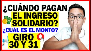 ¿Cuándo Pagan el Ingreso Solidario ¿Cuánto es el monto en el giro 30 y 31  Wintor ABC [upl. by Atnovart873]