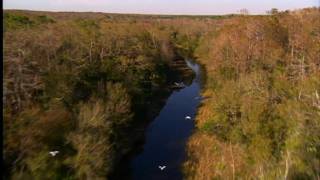 A Panoramic View of Babcock Ranch Preserve [upl. by Enimaj442]