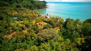 Stunning Beachfront Paradise Property in Costa Rica [upl. by Lolita]