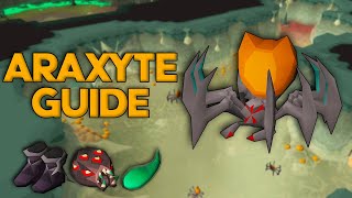 The Ultimate Araxyte Quick Guide OSRS Araxyte Slayer Guide [upl. by Anayet]