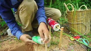 Simple Amazing Quail Bird Trap Using Box ice [upl. by Alket925]