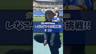 しなこダンス 踊ってみました🕺⚽️💙Honoが挑戦Jリーグ ガンバ大阪 ガンバ大阪チアダンスチーム しなこワールド [upl. by Agnimod]