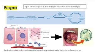 Fiebre Reumática parte 1 [upl. by Briggs]