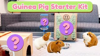 Guinea Pig Care Starter Kit for Beginners The Essentials  GuineaDad [upl. by Oigimer]