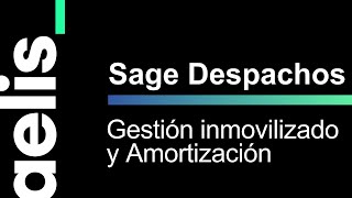 Formación Sage Despachos Connected Gestión Inmovilizado Amortizaciones [upl. by Asli]