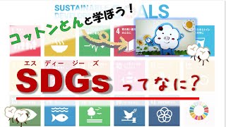 15分でわかる！SDGs（エスディージーズ）って何？～地球を守るための、世界のみんなの約束～ [upl. by Amis292]