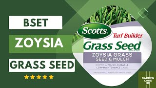 Top 5 Best Zoysia Grass Seed 2024 Updated [upl. by Azelea]