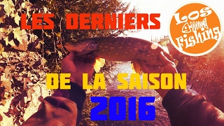 Les derniers poissons de la saison 2016 [upl. by Ibok]