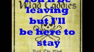 Mad Caddies Booze Cruise Lyrics on Screen [upl. by Jara]