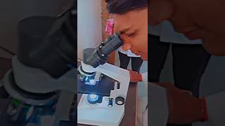 Microscopic viewed 🔬🧫 Bachelor of pharmacy Previous memory fun shortvideo experiment bpharma 🔬🧫💯 [upl. by Anna-Diana]