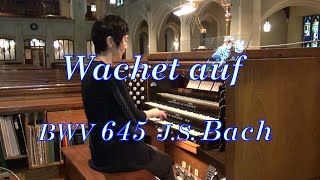 Bach BWV 645 Wachet auf ruft uns die Stimme バッハ 目覚めよと呼ぶ声あり [upl. by Yhtomiht625]