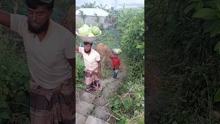 Two brothers are going to the market with their gourds market gourd shorts [upl. by Kauppi]