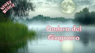 Ombra del Giaguaro  Tropical House Samba Carnival Reggaeton [upl. by Ashien]