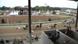 Loose Horses on the Harness Racing Track Big Wreck [upl. by Niryt584]