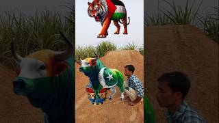 New VFX viral sab nabiyon se ala Kali Kamali walashortfeed yutubeshorts trending viralshort [upl. by Lohse]