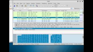 TCPIP usando Wireshark [upl. by Arsi151]