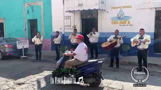 Mariachi Herencia De Villa  La Venía Bendita [upl. by Parry107]