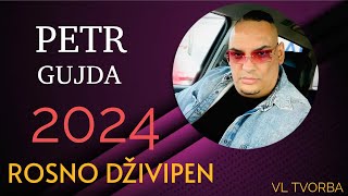 PETR GUJDA ROSNO DŽIVIPEN Vl TVORBA ❤️❤️❤️❤️❤️🔥🔥🔥🔥 2024 [upl. by Kosak968]